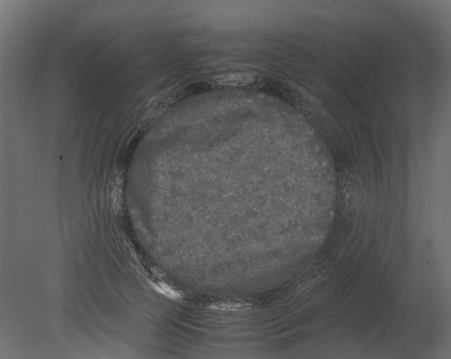 X0000080680745200701121658