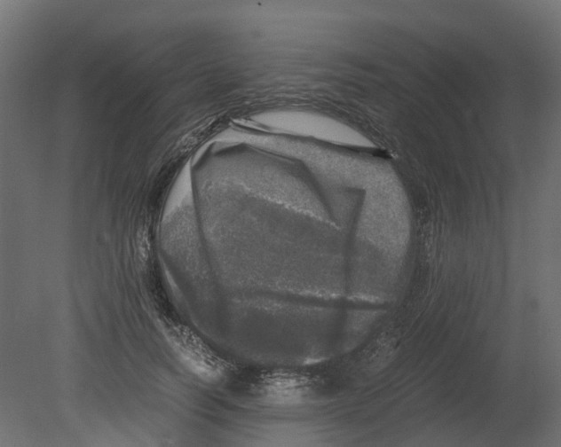 X0000080680746200701121658