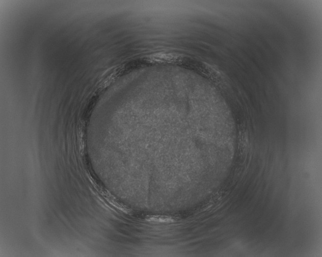 X0000080680749200701121658