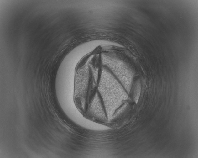 X0000080680750200701121658