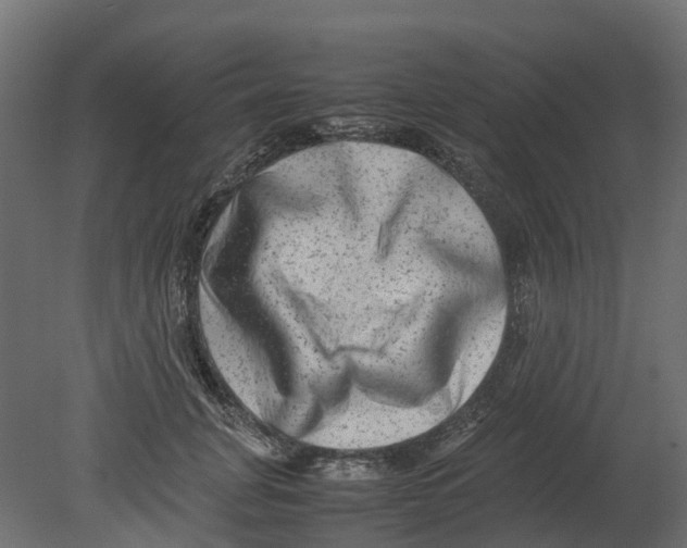 X0000080680751200701121658