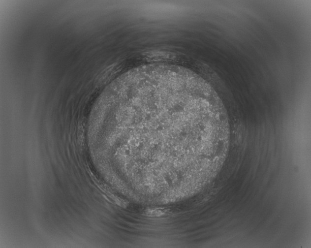 X0000080680753200701121658