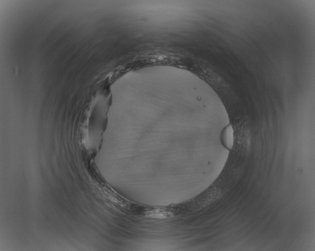 X0000080680754200701121658