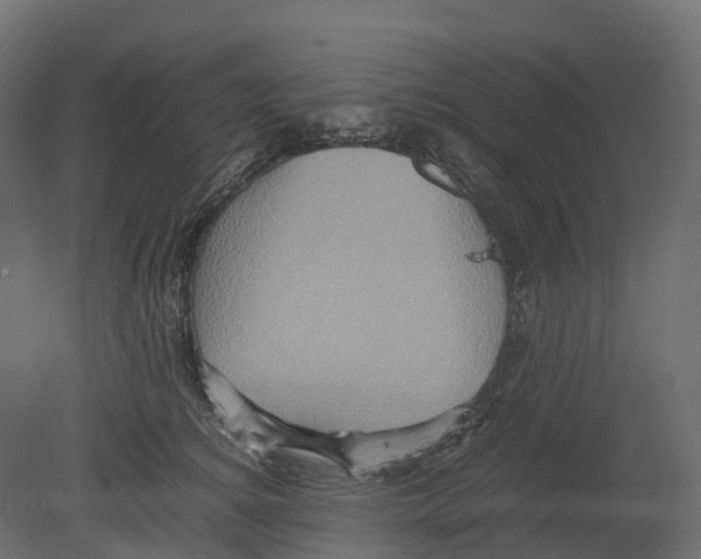 X0000080680756200701121658