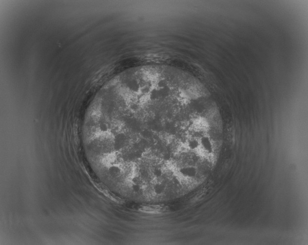 X0000080680757200701121658