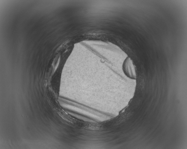 X0000080680758200701121658