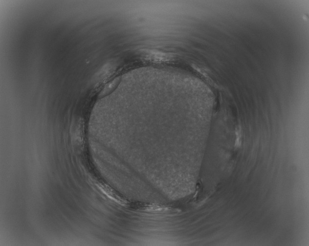 X0000080680760200701121658