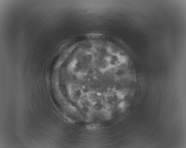 X0000080680761200701121658