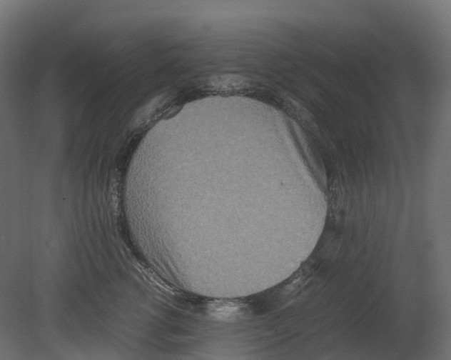 X0000080680762200701121658