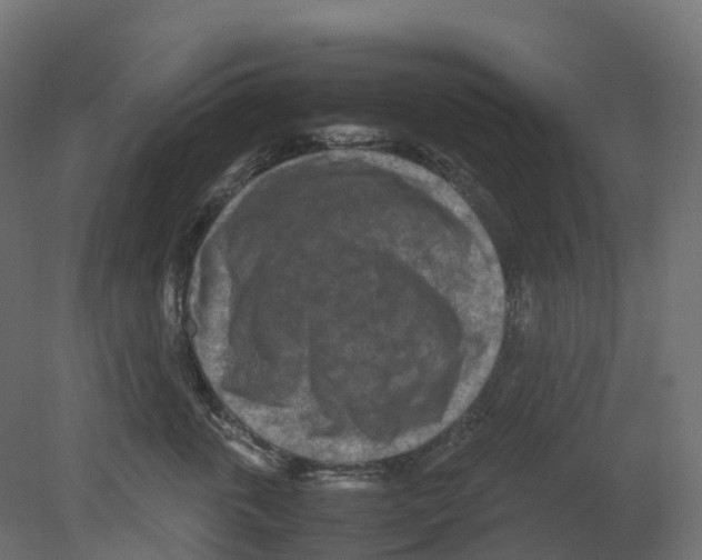 X0000080680763200701121658