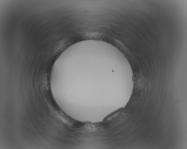 X0000080680764200701121658