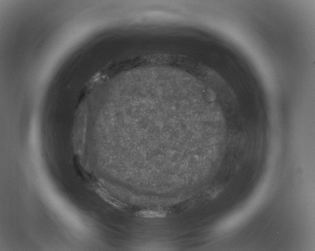 X0000080680765200701121658