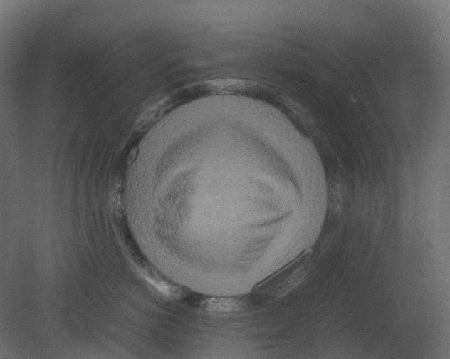 X0000080680766200701121658