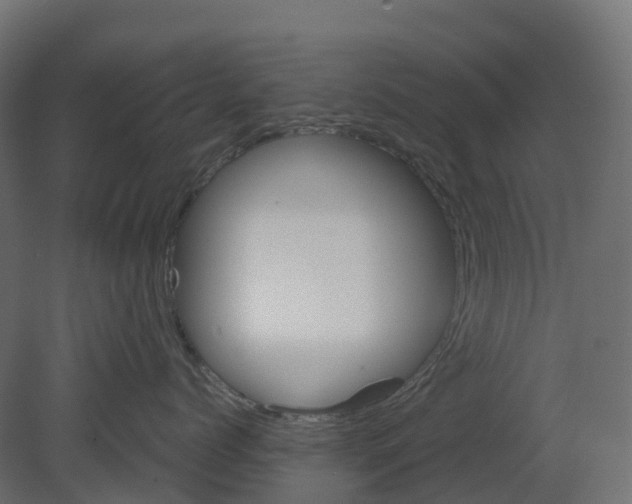 X0000080680768200701121659