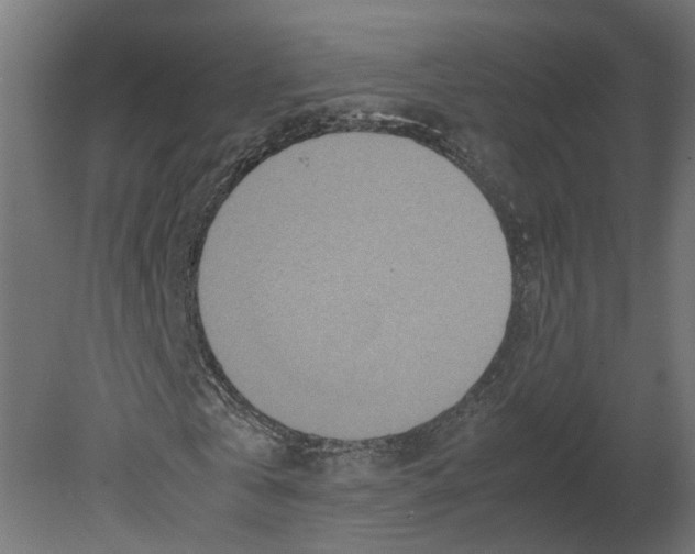 X0000080680769200701121658