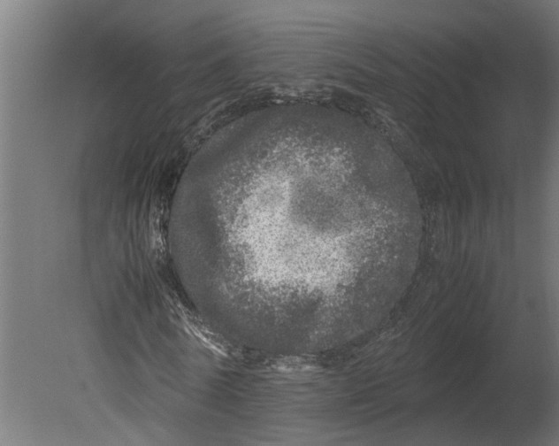 X0000080680770200701121658