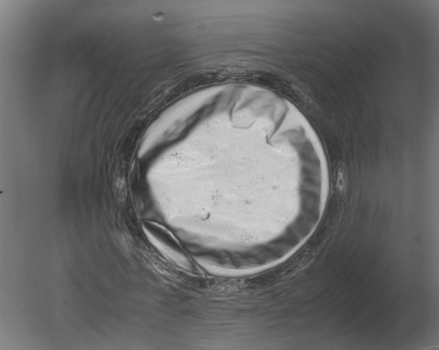 X0000080680771200701121658