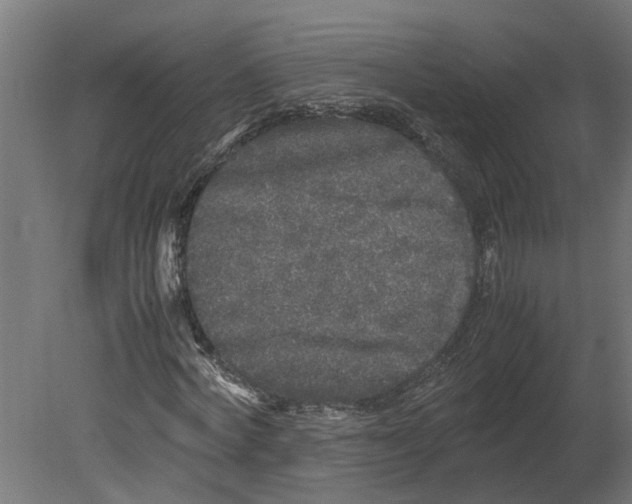 X0000080680772200701121658