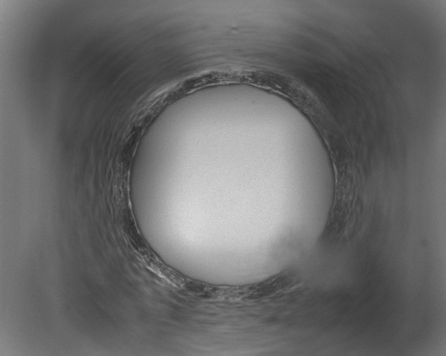 X0000080680773200701121658