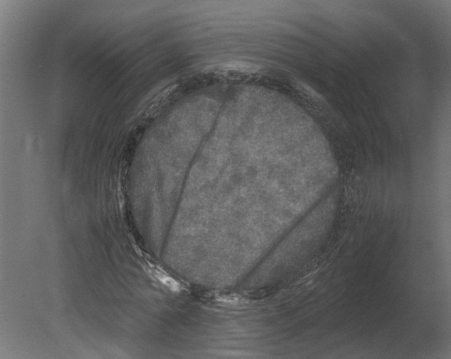 X0000080680774200701121658