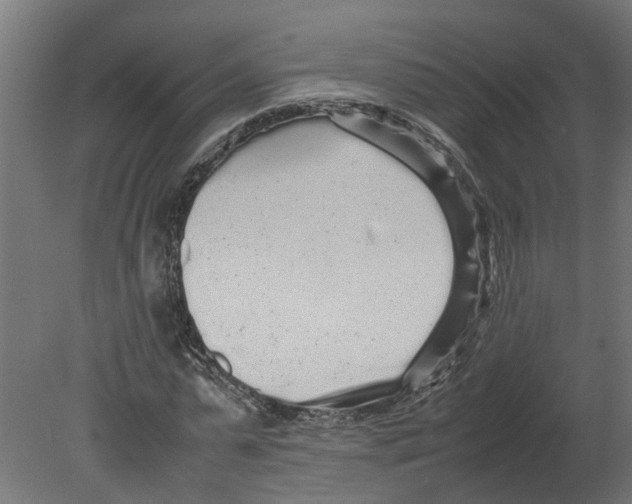 X0000080680775200701121658