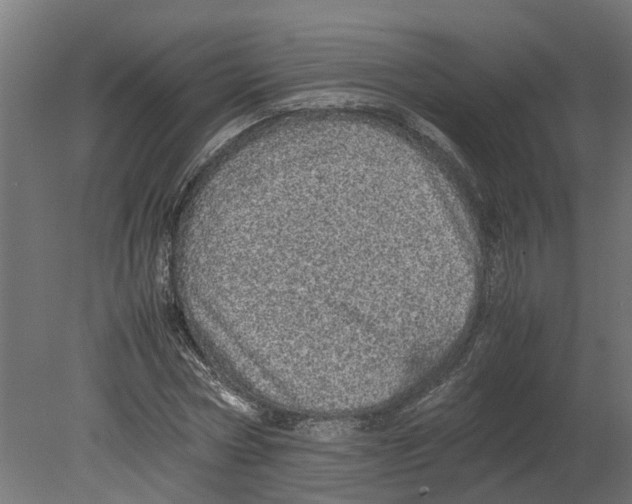 X0000080680778200701121658