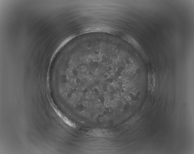 X0000080680780200701121658