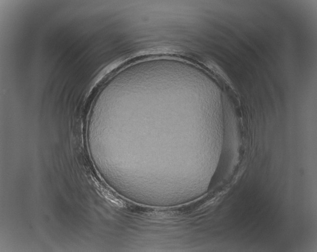 X0000080680781200701121658