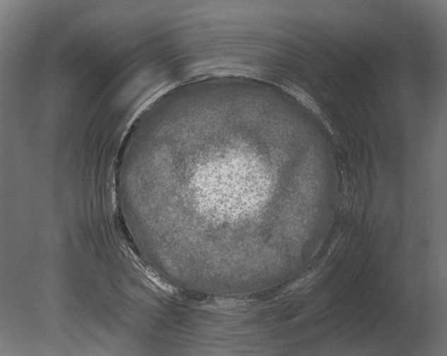 X0000080680782200701121657