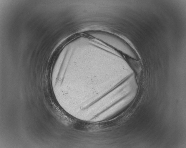 X0000080680783200701121657