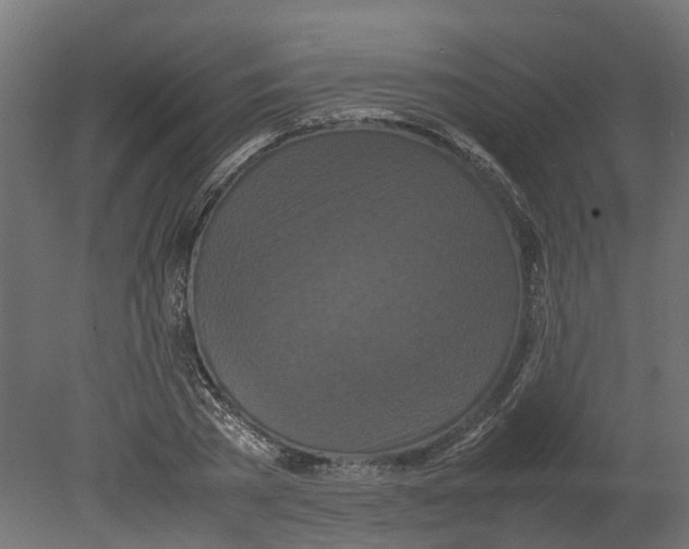 X0000080680785200701121657