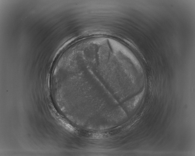 X0000080680790200701121657