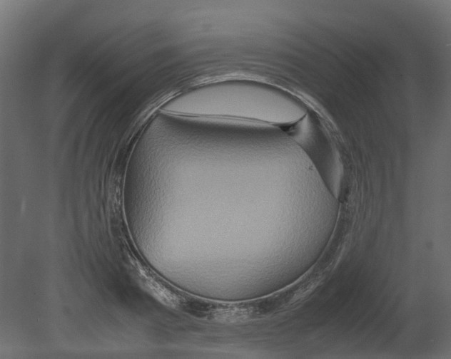 X0000080680793200701121657