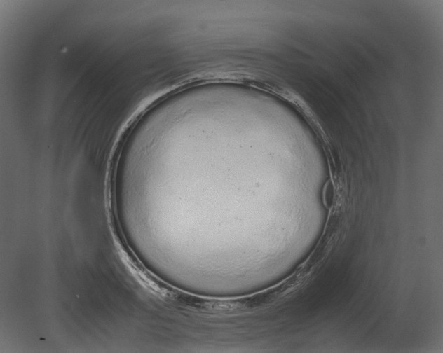 X0000080680795200701121657