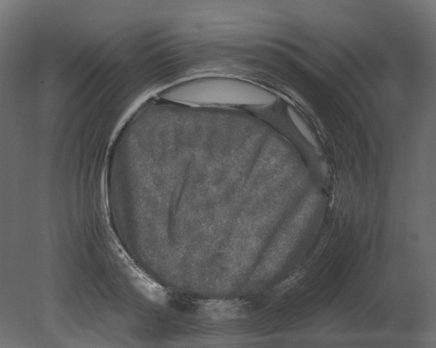 X0000080680796200701121657