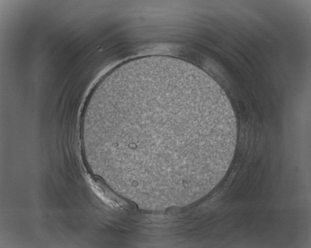 X0000080680800200701121657