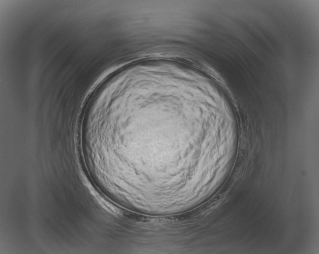 X0000080680803200701121657