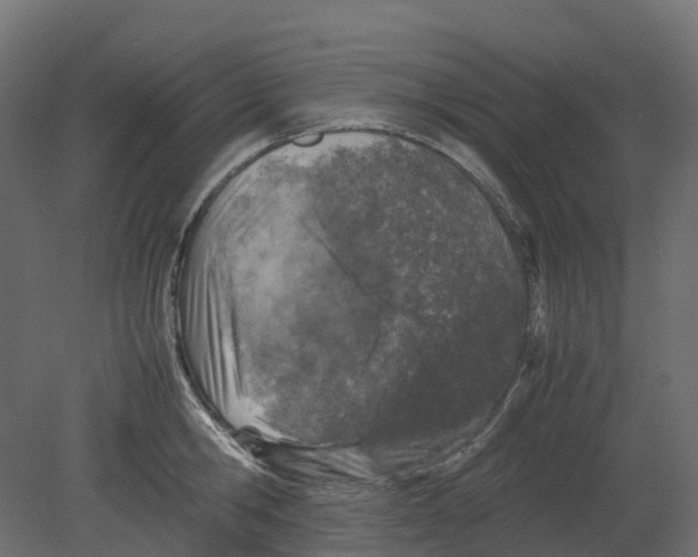 X0000080680806200701121657