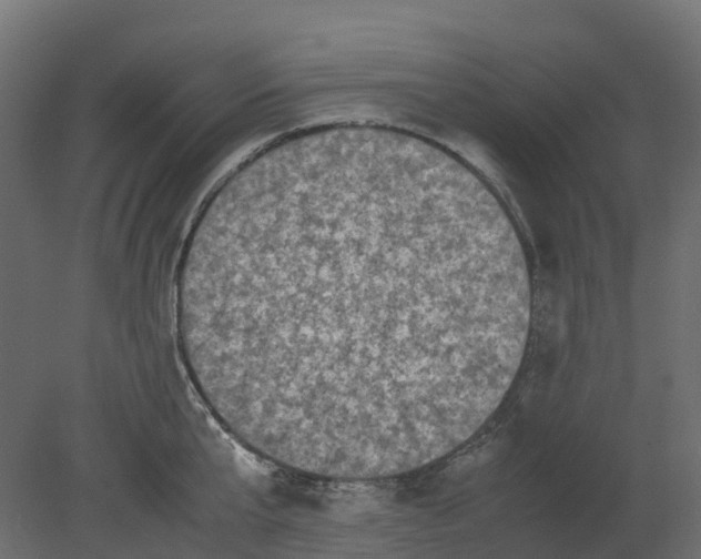 X0000080680807200701121657