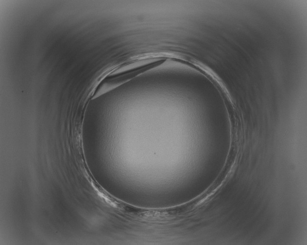 X0000080680809200701121657