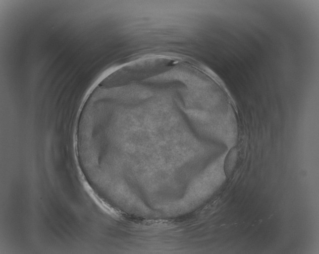 X0000080680811200701121657