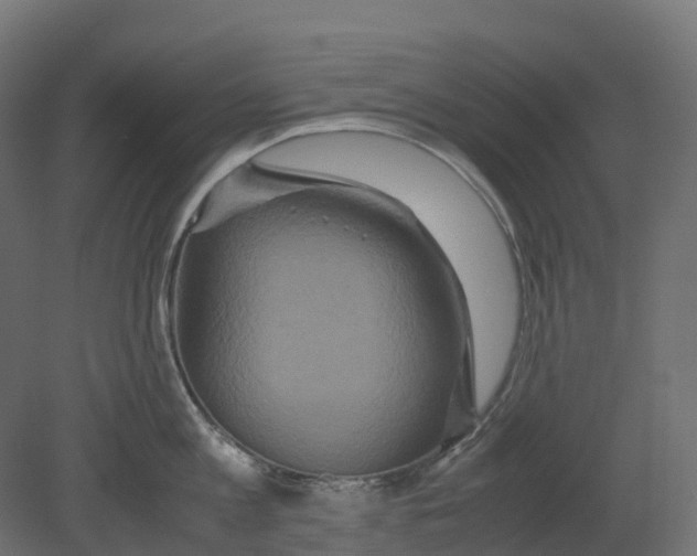 X0000080680813200701121657