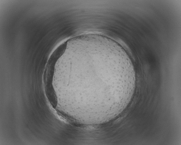 X0000080680814200701121657