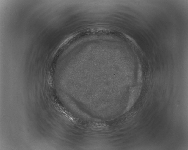 X0000080680823200701121656