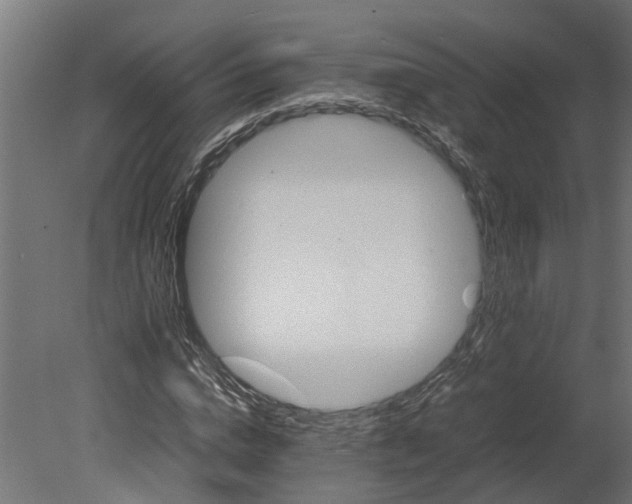 X0000080680824200701121656