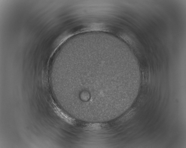 X0000080680828200701121656