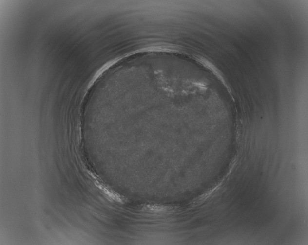 X0000080680829200701121656