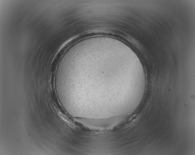 X0000080680830200701121656