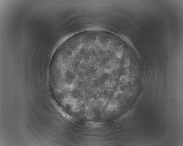 X0000080680831200701121656