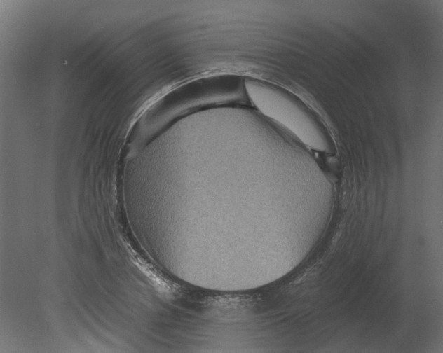 X0000080680834200701121656